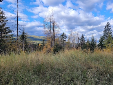 NHN, Bigfork, MT 59911 - photo 2