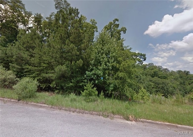 6814 Killick Plains, Tuscaloosa, AL 35406 - photo 2