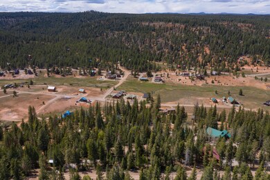 100-Swains Creek