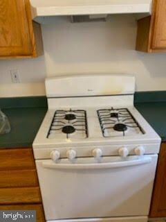 9827 Bayline Cir, Owings Mills, MD 21117 - photo 7