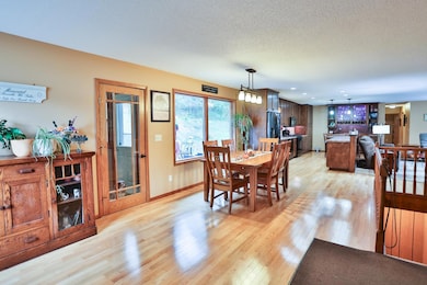 69 E Woodridge Dr, River Falls, WI 54022 - photo 6