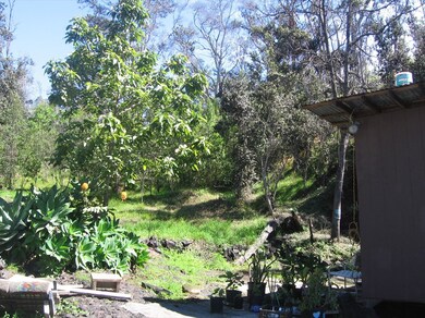 Avocado tree and toward rear of lot.
