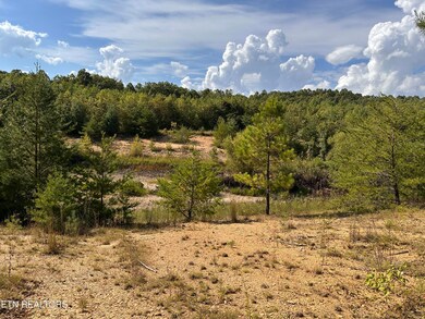 0 13 44 Ac Chestnut Ridge Rd, Allardt, TN 38504 - photo 5