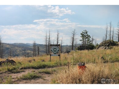 0 Davis Ranch Rd unit 856846, Bellvue, CO 80512 - photo 3