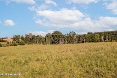 2943 State Road Tt, New Bloomfield, MO 65063 - photo 7