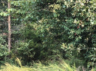 0 Marie Ln unit 1158418, Bella Vista, AR 72715 - photo 4