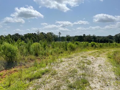 76.68 ac Fm 343, Nacogdoches, TX 75964 - photo 2