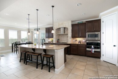 25730 Berberis, San Antonio, TX 78261 - photo 5