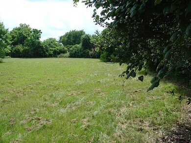 1922 Mills Main Fields Store, Waller, TX 77484 - photo 4