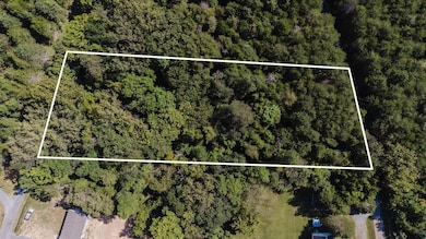 TBD Riverview Dr, Luray, VA 22835 - photo 6