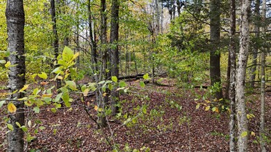 491 Tamarac Rd, Oxford, NY 13830 - photo 7