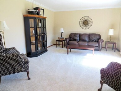 Formal Living Rm w/New Carpet