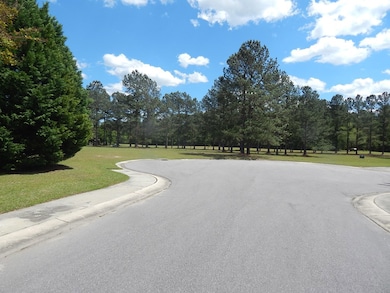 3 lots James Lee Cir, Santee, SC 29142 - photo 3
