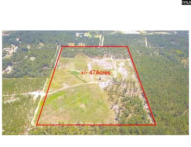 00 Bub Shumpert Rd, Pelion, SC 29123 - photo 4