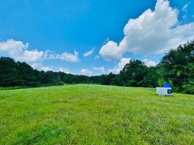 000 China Grove Rd, Tylertown, MS 39667 - photo 5