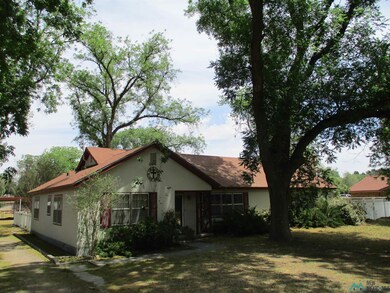 306 W Orchard Ln, Carlsbad, NM 88220 - photo 2