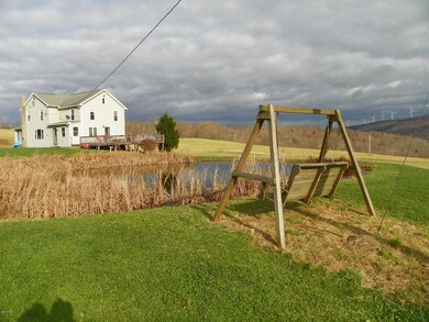 Pond - View 1