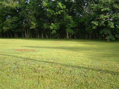 0 River Bend Rd unit RTC1339906, Shelbyville, TN 37160 - photo 7