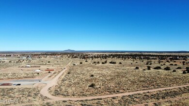 dji_fly_20250124_113620_825_173774380116