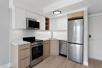 1634 W Howard St unit 214, Chicago, IL 60626 - photo 5