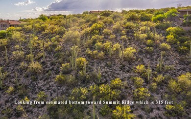 DJI_0637