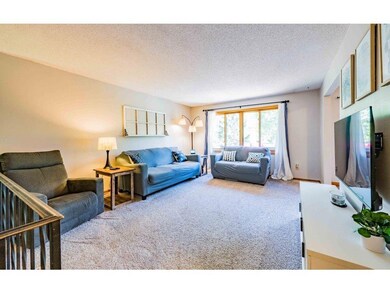 Lots of natural light in the living room.