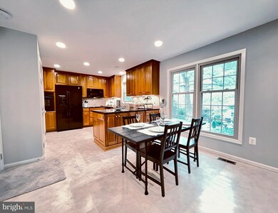 5033 Domain Place unit 34, Alexandria, VA 22311 - photo 4