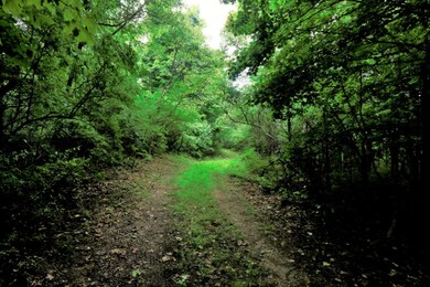2914 N Old US31 (1)