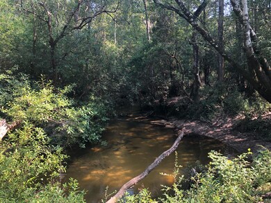 0 Stonecypher Rd, Lucedale, MS 39452 - photo 6