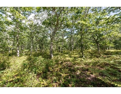 80 Oyster Pond Rd, Edgartown, MA 02539 - photo 4