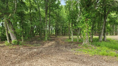 0 Fredonia Rd unit RTC2658009, Manchester, TN 37355 - photo 7