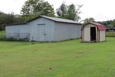 25 Cardinal Rd, Linden, TN 37096 - photo 3