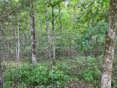 6.97 AC Ramsey Ln, Cookeville, TN 38501 - photo 7