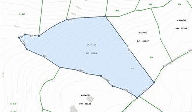 Lot 276 aerial, topo