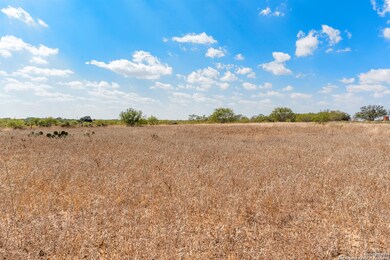 2853 Farm To Market Road 1333, Poteet, TX 78065 - photo 5