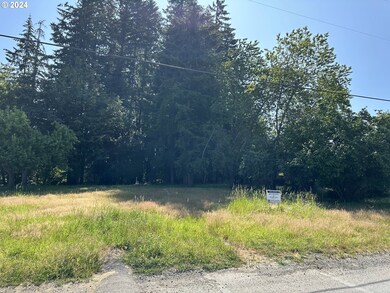 0 Shannon Lewis Ln unit 24653435, Winlock, WA 98596 - photo 2