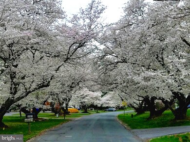 17528 Queen Elizabeth Dr, Olney, MD 20832 - photo 3