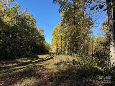 000 Hamburg Rd unit 17, Mars Hill, NC 28754 - photo 6