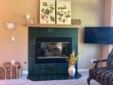 Gas Fireplace, TV Conveys with Sale