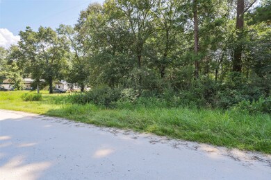 TBD Mossyknoll Dr, Plantersville, TX 77363 - photo 2