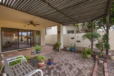 Patio_6176
