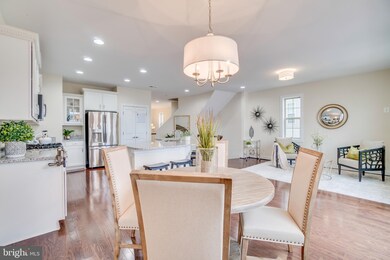 46673 Joubert Terrace, Potomac Falls, VA 20165 - photo 4