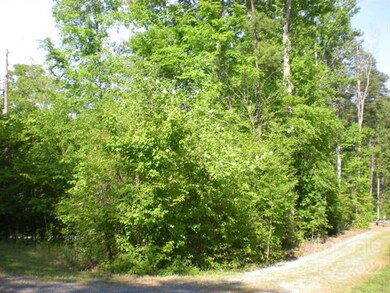 397 Shamrock Rd unit 11, New London, NC 28127 - photo 3