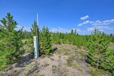Flat, treed acreage