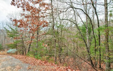 Additional View