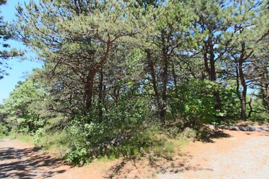 29 Noons Dr, Truro, MA 2666 - photo 3