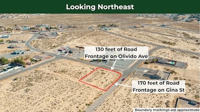 2730 S Olvido Ave, Pahrump, NV 89048 - photo 2