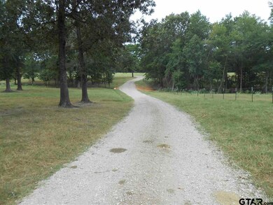 6411 County Road 21, Tyler, TX 75707 - photo 5