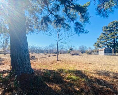 8 Couch Ln, Conway, AR 72032 - photo 3