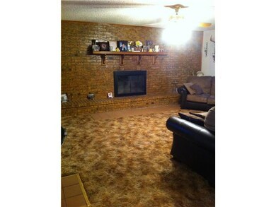 Living Room. Cozy fireplace for the cold winter ev
